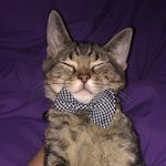Kitty Reid - @r3id_thegremlin - Instagram