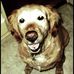 Kitty Reid - Facebook