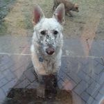 Kitty O'Reilly Martel - @kittyoreillymartel - Instagram