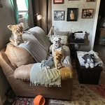 Kitty Reppond Brinson - @kittyrichardson - Instagram