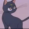 Kitty Richardson - @user108470856394 - TikTok