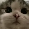kitty - @kittyrivera81 - TikTok