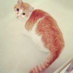 Kitty Rivera - @kitty_rivera7 - Instagram
