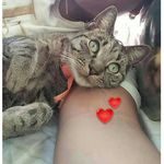 Kitty The Cat!🐱❤️ - @kitty.rivera_ - Instagram