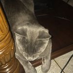 Kitty - @kitty._savage - Instagram