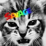 kitty savage 1219 - @kittysavage1219 - Instagram