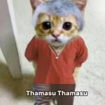 Tom 😼 🔔 - @savage_.kitty_ - Instagram