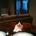 Kitty Schaefer - Facebook