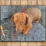 Kitty Shepherd - @kitty.shepherd.98871 - Instagram