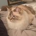 Kitty Simmons - Facebook