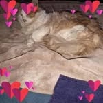@kittysimmons7755 - Instagram
