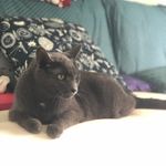 Betty - @elizabethkittystanton - Instagram