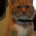 Kitty Stanton - Facebook