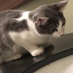 Kitty Stanton - @kittystanton2018 - Instagram