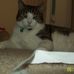 Kitty Stanton - Facebook