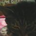 Kittygirl Stanton - Facebook