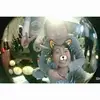 Kitty Tam - @2152552416 - TikTok