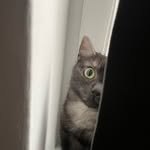 terry_kitty_cat - @terry_kitty_cat - Instagram