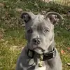 Kitty Thompson - @mylittleboyblue - TikTok
