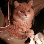 Kitty Thompson - @kitty.thompson.184 - Instagram
