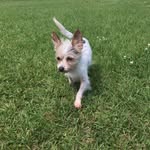 Kitty🐶 - @kitty.todd2021 - Instagram