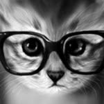 kitty todd - @ptown_kitty - Instagram