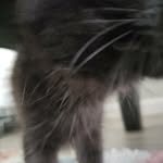 Kitty Townsend - @kats_insanity_i_guess - Instagram