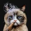 Jeanette Gosa-Hodges - @kittyvaughn76 - TikTok