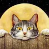 Kitty Vaughn - @kitty.vaughn30 - TikTok