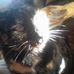 Kitty Warfield - Facebook