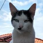 Kitty Watson - @kitty.watson.1 - Instagram