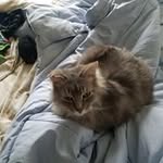 Kitty Watson - @kitty.watson.7777 - Instagram