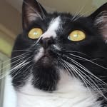 Kitty Watson - @kittylife13 - Instagram