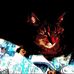 Kitty Whitehead - Facebook