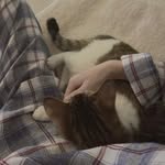 겨울이 - @kitty._.winter - Instagram