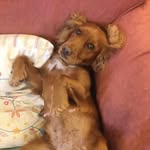 Kitty 🐙 - @_kitty.winter_ - Instagram