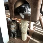 Kitty and Winter - @kittywinterland - Instagram