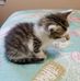 Kitty Winter - Facebook