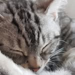 Winter - @kitty_winterland - Instagram
