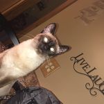 Kitty Wood’s Farm House Life - @kitty_wood123 - Instagram
