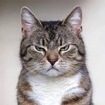 Kitty Yang - Facebook