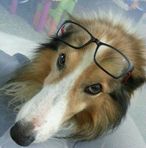 Kitty Yue - Facebook