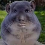 Kitzia Pineda - Facebook