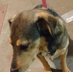 Kiya Johnson - Facebook
