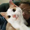 Kiya Johnson - @kiya.johnson - TikTok