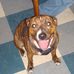 Kizzie Page - Facebook