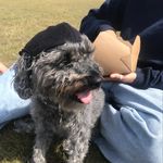 Kizzy Noodle Schnoodle Evans - @kizzys_schnudes - Instagram
