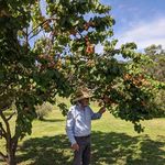 Klaus Knapp - @knapp_klaus - Instagram