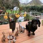 Klaus Martin - @klaus.karl.martin - Instagram