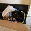 Klaus Martin Luti - @klaus.martin.luti - TikTok